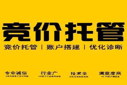案例分享：sem托管服务助力企业实现广告投放目标